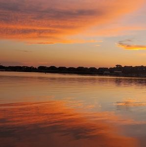 Meet your Posher, Ladell